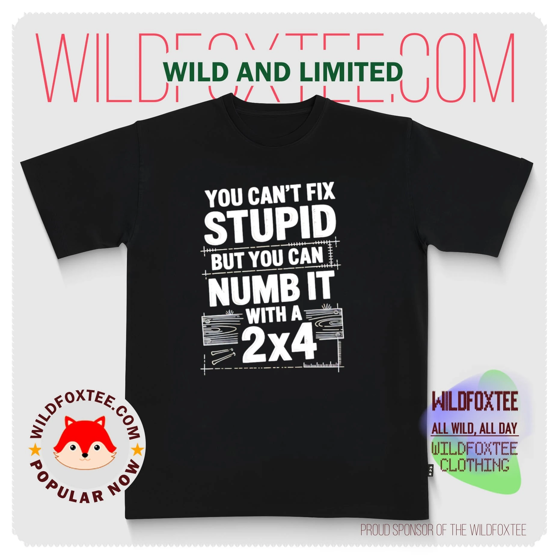 You Can't Fix Stupid But Numb It With A 2x4 shirt, hoodie