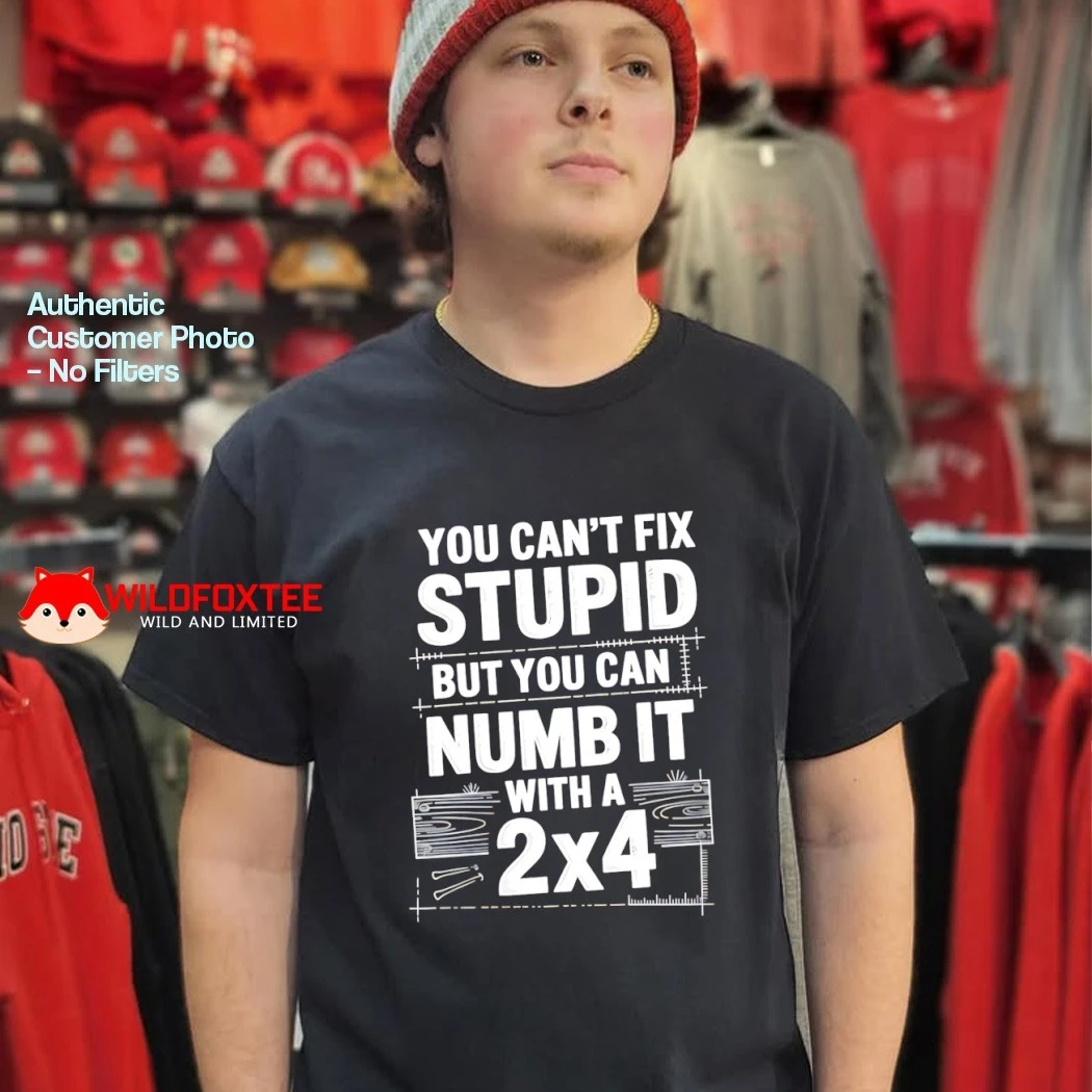 You Can't Fix Stupid But Numb It With A 2x4 shirt, hoodie